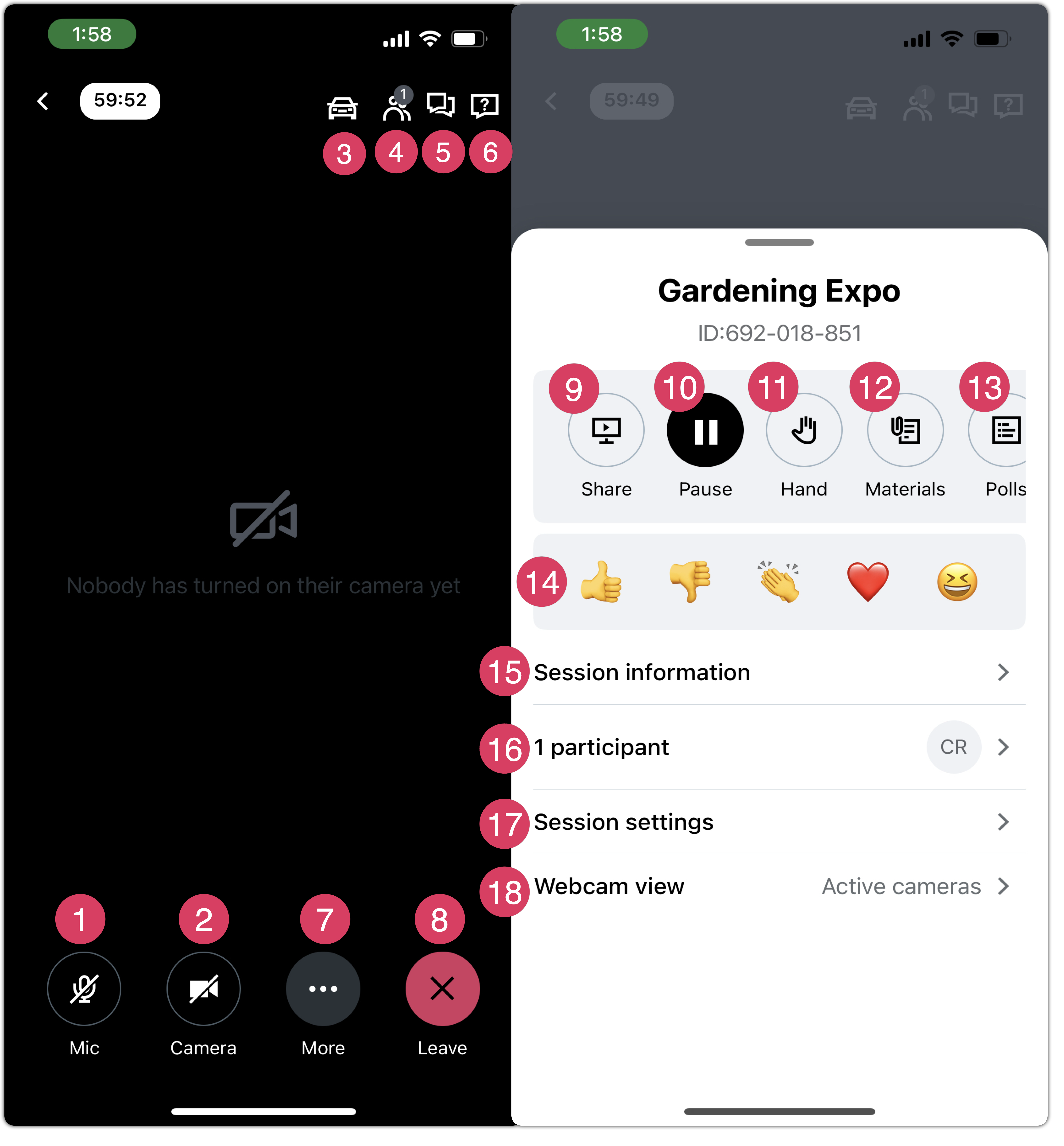 In-session organizer experience on mobile app